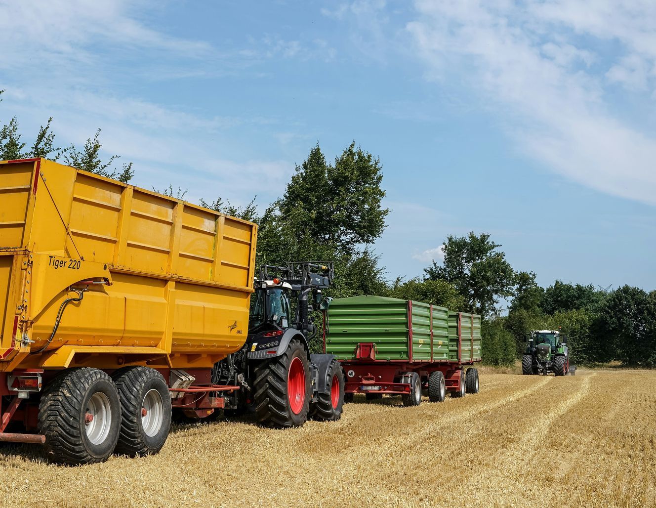 Farm tractor pulling two trailers through a golden harvested field